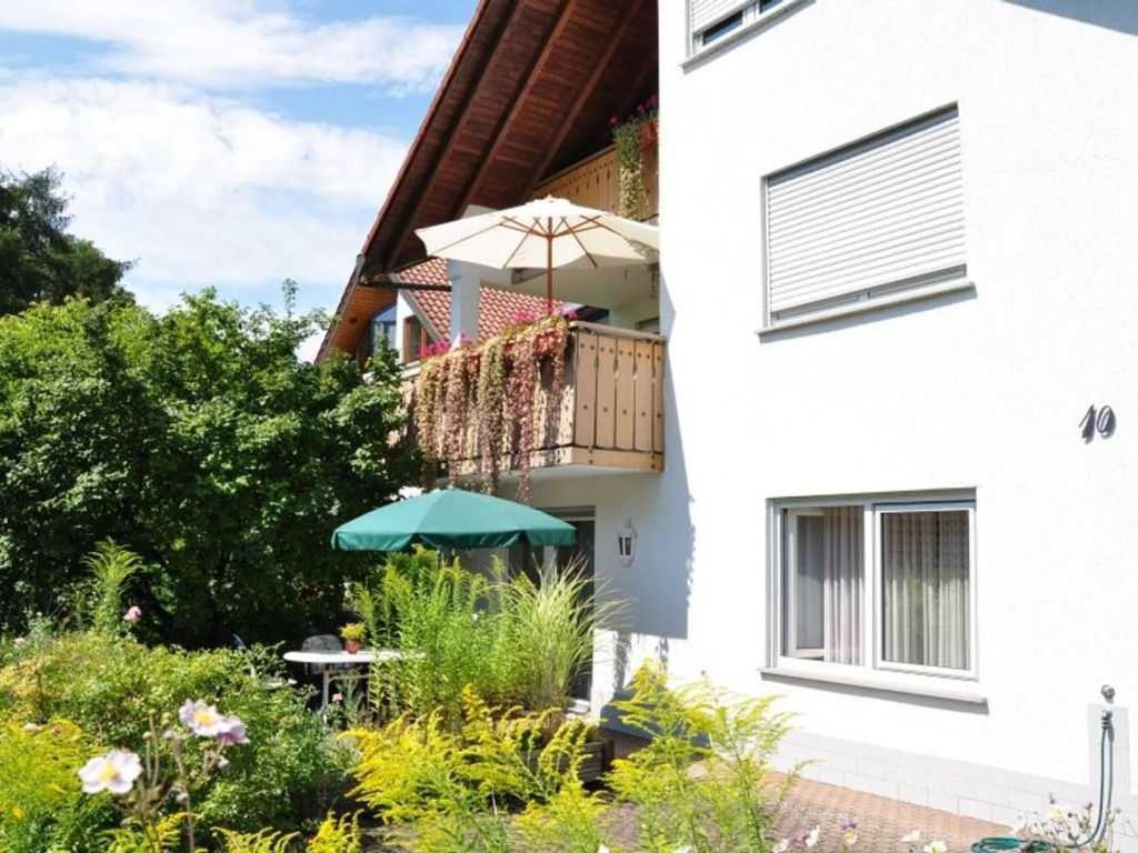 Ferienwohnung Fischer 梅尔斯堡 外观 照片